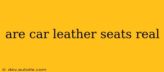 are car leather seats real