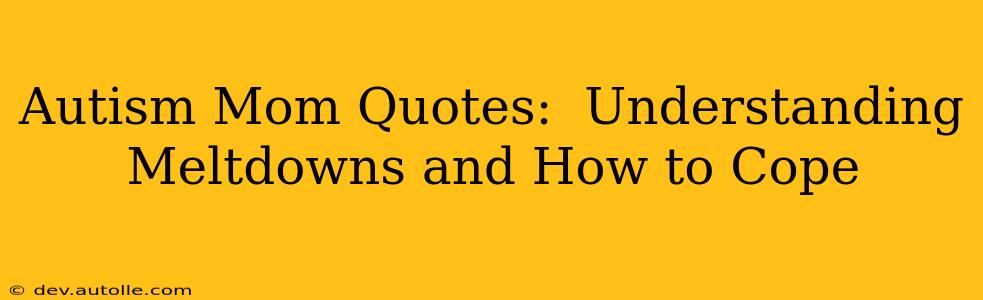 Autism Mom Quotes:  Understanding Meltdowns and How to Cope