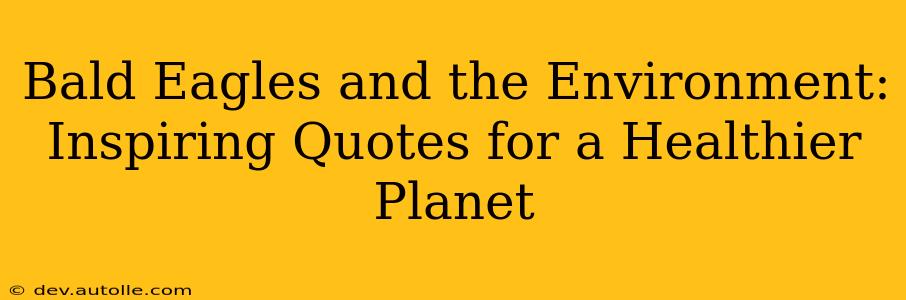 Bald Eagles and the Environment: Inspiring Quotes for a Healthier Planet