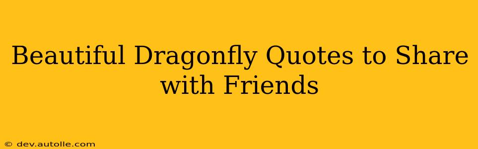 Beautiful Dragonfly Quotes to Share with Friends