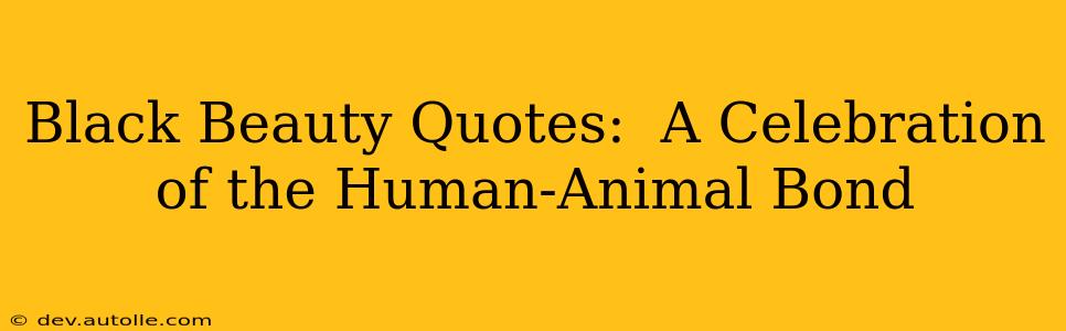 Black Beauty Quotes:  A Celebration of the Human-Animal Bond