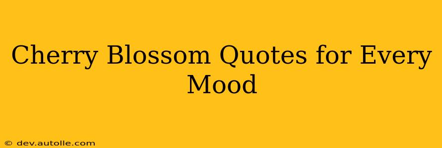 Cherry Blossom Quotes for Every Mood