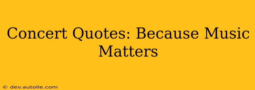 Concert Quotes: Because Music Matters