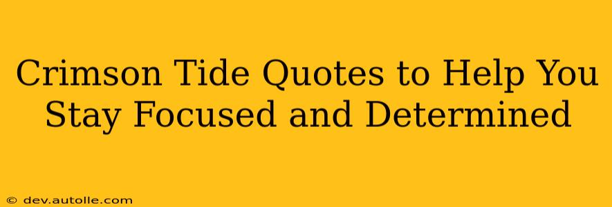 Crimson Tide Quotes to Help You Stay Focused and Determined