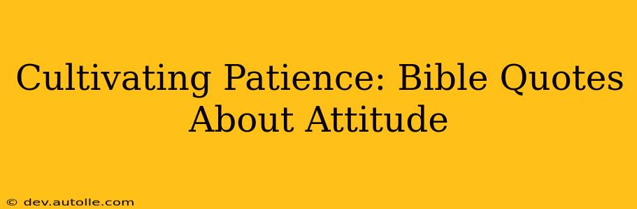 Cultivating Patience: Bible Quotes About Attitude