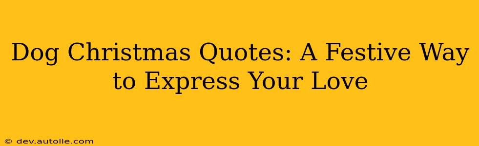 Dog Christmas Quotes: A Festive Way to Express Your Love