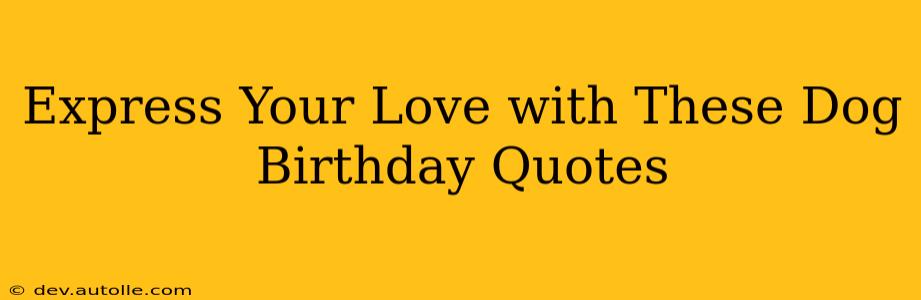 Express Your Love with These Dog Birthday Quotes