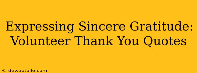 Expressing Sincere Gratitude: Volunteer Thank You Quotes