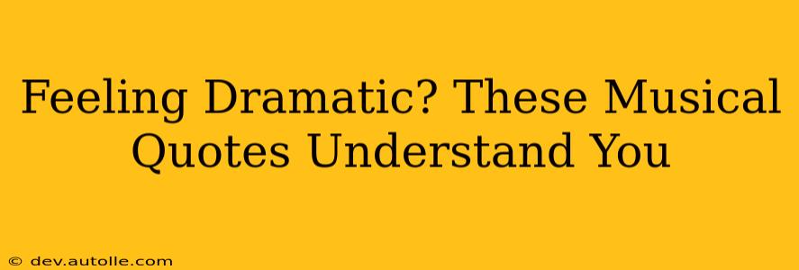 Feeling Dramatic? These Musical Quotes Understand You