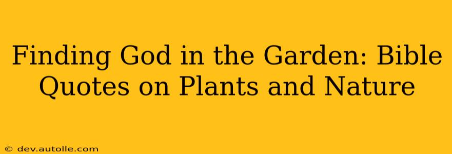 Finding God in the Garden: Bible Quotes on Plants and Nature
