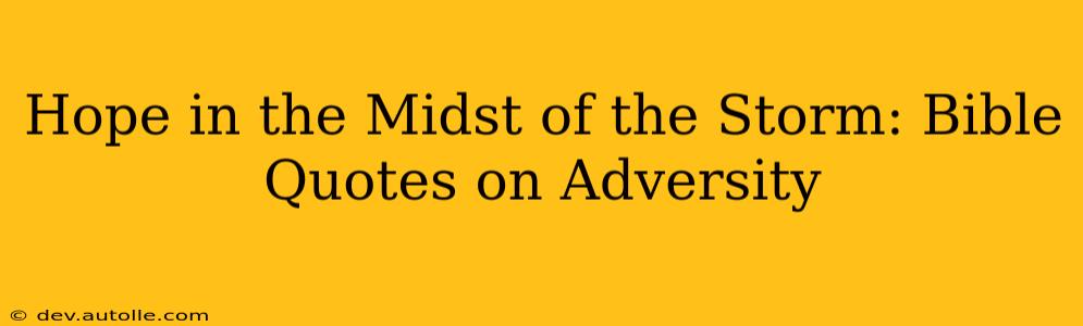 Hope in the Midst of the Storm: Bible Quotes on Adversity