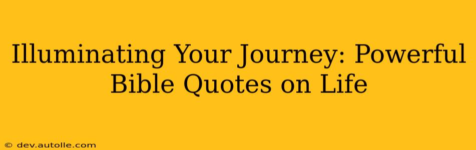 Illuminating Your Journey: Powerful Bible Quotes on Life