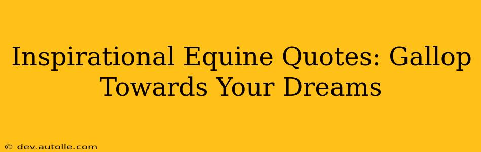 Inspirational Equine Quotes: Gallop Towards Your Dreams