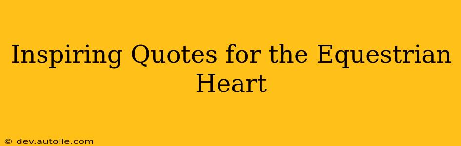 Inspiring Quotes for the Equestrian Heart