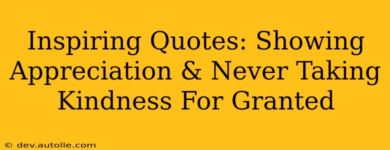 Inspiring Quotes: Showing Appreciation & Never Taking Kindness For Granted