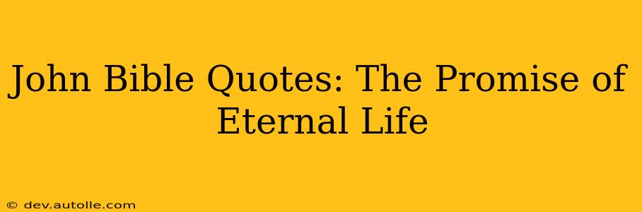 John Bible Quotes: The Promise of Eternal Life