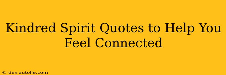 Kindred Spirit Quotes to Help You Feel Connected