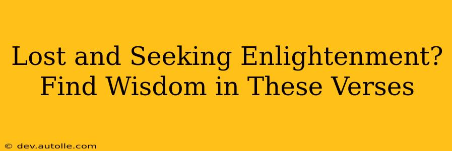 Lost and Seeking Enlightenment? Find Wisdom in These Verses