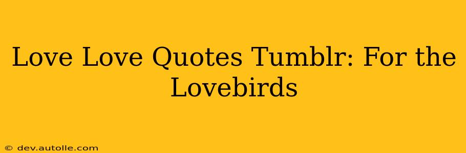 Love Love Quotes Tumblr: For the Lovebirds