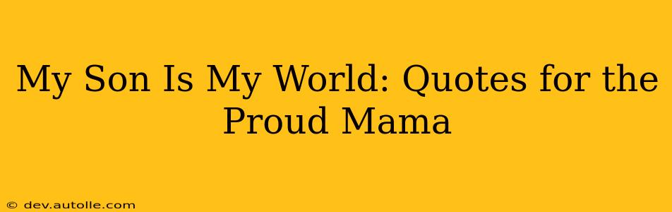 My Son Is My World: Quotes for the Proud Mama