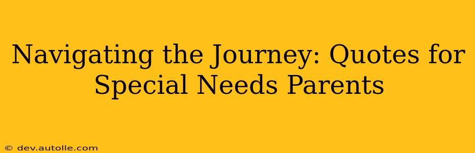 Navigating the Journey: Quotes for Special Needs Parents