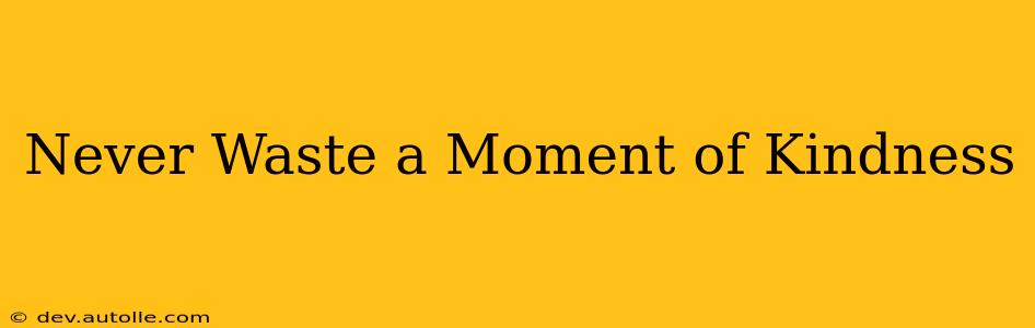 Never Waste a Moment of Kindness