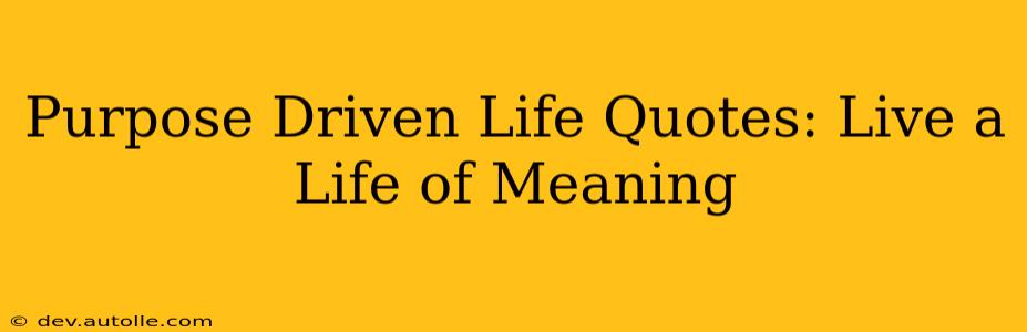 Purpose Driven Life Quotes: Live a Life of Meaning