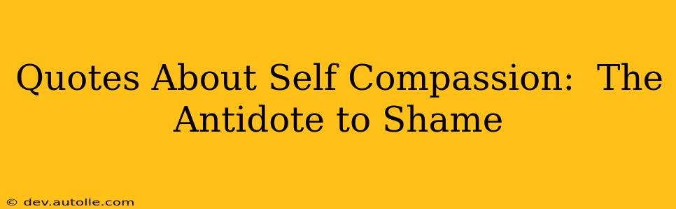 Quotes About Self Compassion:  The Antidote to Shame