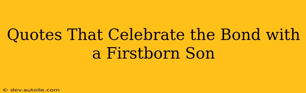 Quotes That Celebrate the Bond with a Firstborn Son