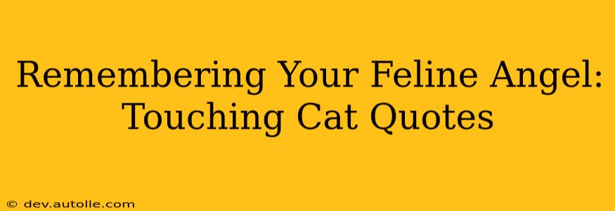Remembering Your Feline Angel: Touching Cat Quotes