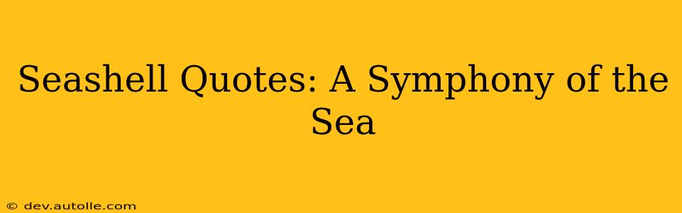 Seashell Quotes: A Symphony of the Sea