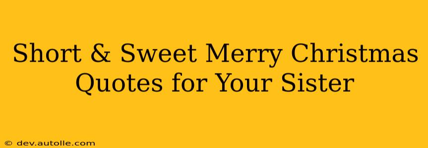 Short & Sweet Merry Christmas Quotes for Your Sister