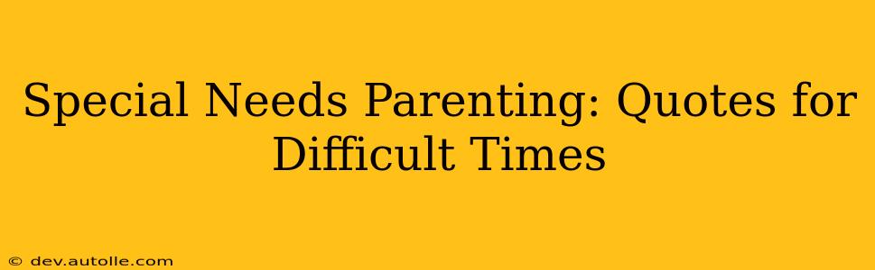 Special Needs Parenting: Quotes for Difficult Times