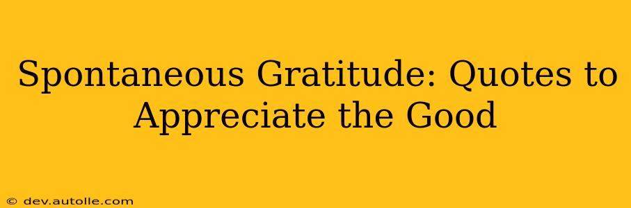 Spontaneous Gratitude: Quotes to Appreciate the Good