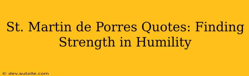 St. Martin de Porres Quotes: Finding Strength in Humility