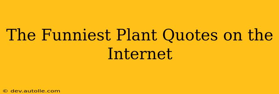 The Funniest Plant Quotes on the Internet