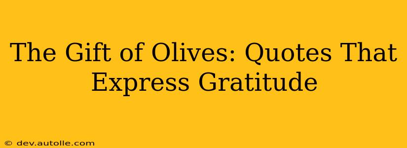 The Gift of Olives: Quotes That Express Gratitude