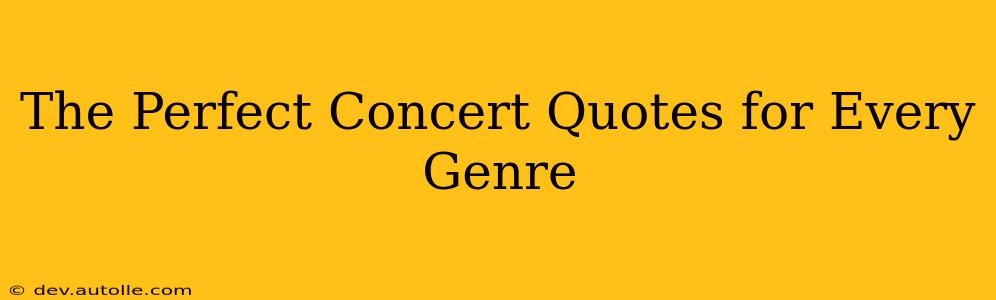 The Perfect Concert Quotes for Every Genre