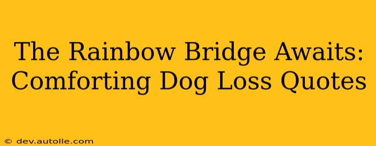 The Rainbow Bridge Awaits: Comforting Dog Loss Quotes