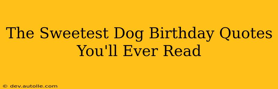 The Sweetest Dog Birthday Quotes You'll Ever Read