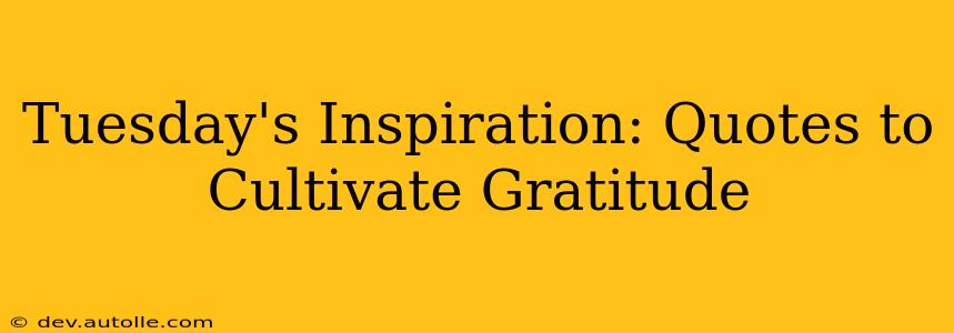 Tuesday's Inspiration: Quotes to Cultivate Gratitude
