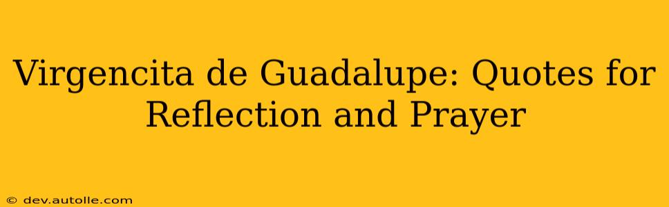 Virgencita de Guadalupe: Quotes for Reflection and Prayer