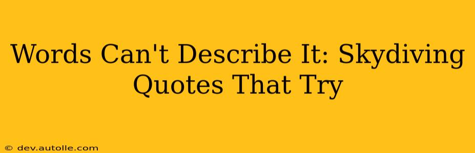 Words Can't Describe It: Skydiving Quotes That Try