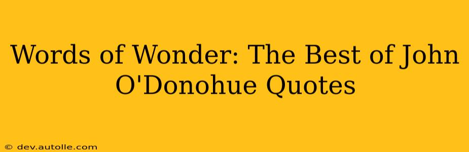 Words of Wonder: The Best of John O'Donohue Quotes